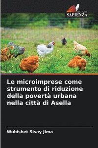 bokomslag Le microimprese come strumento di riduzione della povertà urbana nella città di Asella