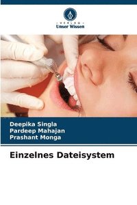 bokomslag Einzelnes Dateisystem