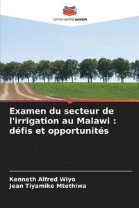 bokomslag Examen du secteur de l'irrigation au Malawi