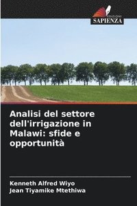 bokomslag Analisi del settore dell'irrigazione in Malawi: sfide e opportunità