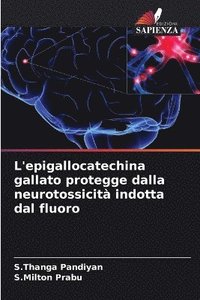 bokomslag L'epigallocatechina gallato protegge dalla neurotossicità indotta dal fluoro