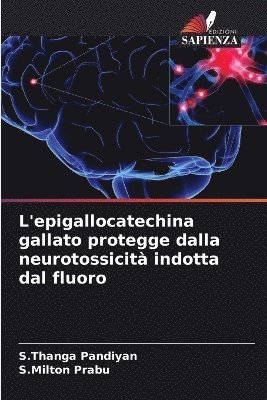 bokomslag L'epigallocatechina gallato protegge dalla neurotossicità indotta dal fluoro
