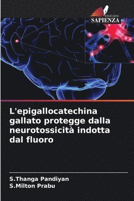 L'epigallocatechina gallato protegge dalla neurotossicità indotta dal fluoro