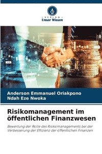 bokomslag Risikomanagement im öffentlichen Finanzwesen