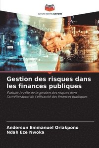 bokomslag Gestion des risques dans les finances publiques