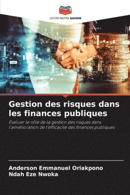 bokomslag Gestion des risques dans les finances publiques