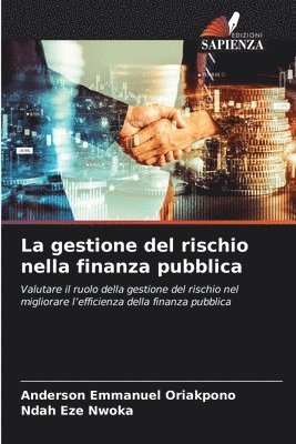 bokomslag La gestione del rischio nella finanza pubblica