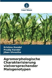 bokomslag Agromorphologische Charakterisierung vielversprechender Maisgenotypen