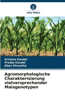 bokomslag Agromorphologische Charakterisierung vielversprechender Maisgenotypen