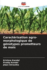 bokomslag Caractérisation agro-morphologique de génotypes prometteurs de maïs