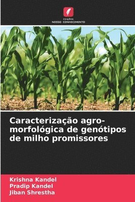 Caracterização agro-morfológica de genótipos de milho promissores