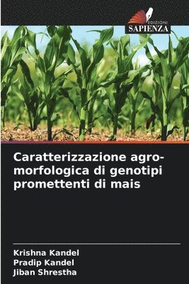 bokomslag Caratterizzazione agro-morfologica di genotipi promettenti di mais