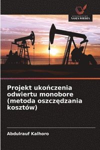 bokomslag Projekt uko?czenia odwiertu monobore (metoda oszcz?dzania kosztów)