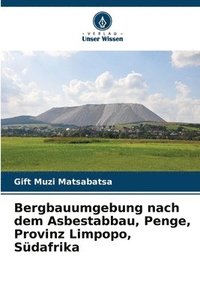 bokomslag Bergbauumgebung nach dem Asbestabbau, Penge, Provinz Limpopo, Südafrika