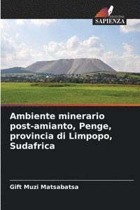 bokomslag Ambiente minerario post-amianto, Penge, provincia di Limpopo, Sudafrica