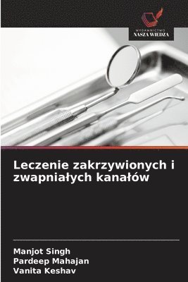 bokomslag Leczenie zakrzywionych i zwapnialych kanalów