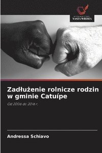 bokomslag Zadlu?enie rolnicze rodzin w gminie Catuípe