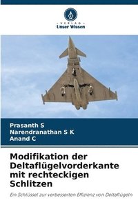 bokomslag Modifikation der Deltaflügelvorderkante mit rechteckigen Schlitzen