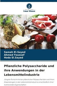 bokomslag Pflanzliche Polysaccharide und ihre Anwendungen in der Lebensmittelindustrie