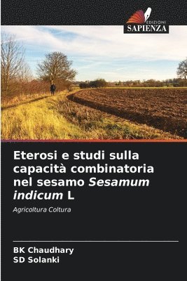 bokomslag Eterosi e studi sulla capacità combinatoria nel sesamo Sesamum indicum L