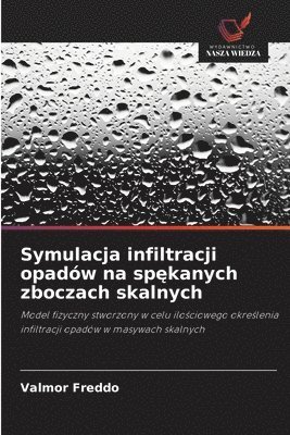 bokomslag Symulacja infiltracji opadów na sp?kanych zboczach skalnych