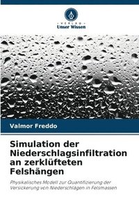 bokomslag Simulation der Niederschlagsinfiltration an zerklüfteten Felshängen