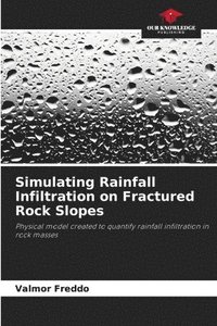 bokomslag Simulating Rainfall Infiltration on Fractured Rock Slopes