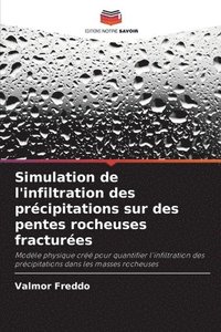 bokomslag Simulation de l'infiltration des précipitations sur des pentes rocheuses fracturées