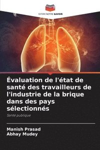 bokomslag Évaluation de l'état de santé des travailleurs de l'industrie de la brique dans des pays sélectionnés