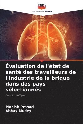 bokomslag Évaluation de l'état de santé des travailleurs de l'industrie de la brique dans des pays sélectionnés