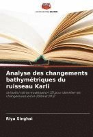 bokomslag Analyse des changements bathymétriques du ruisseau Karli