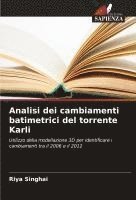 bokomslag Analisi dei cambiamenti batimetrici del torrente Karli