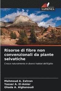 bokomslag Risorse di fibre non convenzionali da piante selvatiche