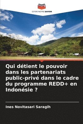 Qui détient le pouvoir dans les partenariats public-privé dans le cadre du programme REDD+ en Indonésie ?