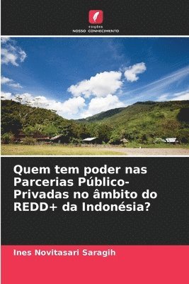 Quem tem poder nas Parcerias Público-Privadas no âmbito do REDD+ da Indonésia?