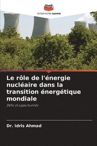 bokomslag rôle de l'énergie nucléaire dans la transition énergétique mondiale