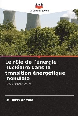 bokomslag rôle de l'énergie nucléaire dans la transition énergétique mondiale