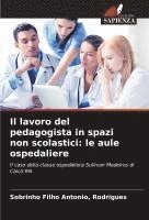 bokomslag Il lavoro del pedagogista in spazi non scolastici: le aule ospedaliere