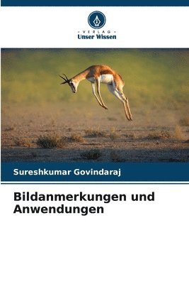 bokomslag Bildanmerkungen und Anwendungen