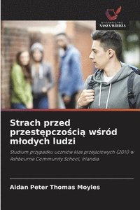 bokomslag Strach przed przest?pczo?ci? w?ród mlodych ludzi