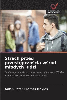bokomslag Strach przed przest?pczo?ci? w?ród mlodych ludzi