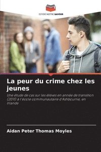 bokomslag La peur du crime chez les jeunes
