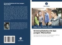 bokomslag Kriminalitätsfurcht bei jungen Menschen