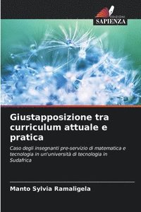 bokomslag Giustapposizione tra curriculum attuale e pratica