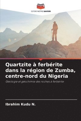 bokomslag Quartzite à ferbérite dans la région de Zumba, centre-nord du Nigeria