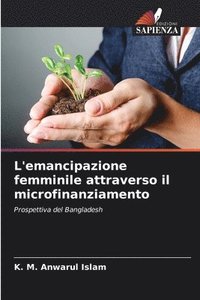 bokomslag L'emancipazione femminile attraverso il microfinanziamento