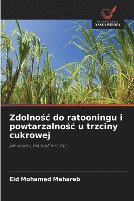 bokomslag Zdolno?c do ratooningu i powtarzalno?c u trzciny cukrowej
