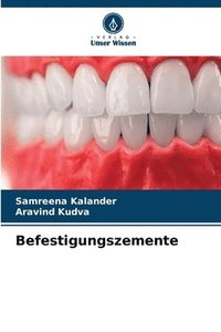 bokomslag Befestigungszemente