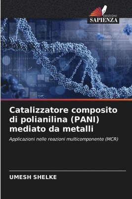 Umesh Shelke - Catalizzatore composito di polianilina (PANI) mediato da metalli, Häftad