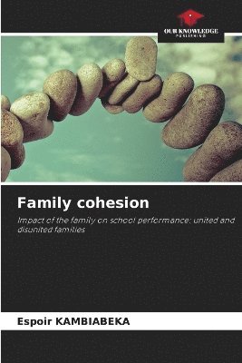 bokomslag Family cohesion